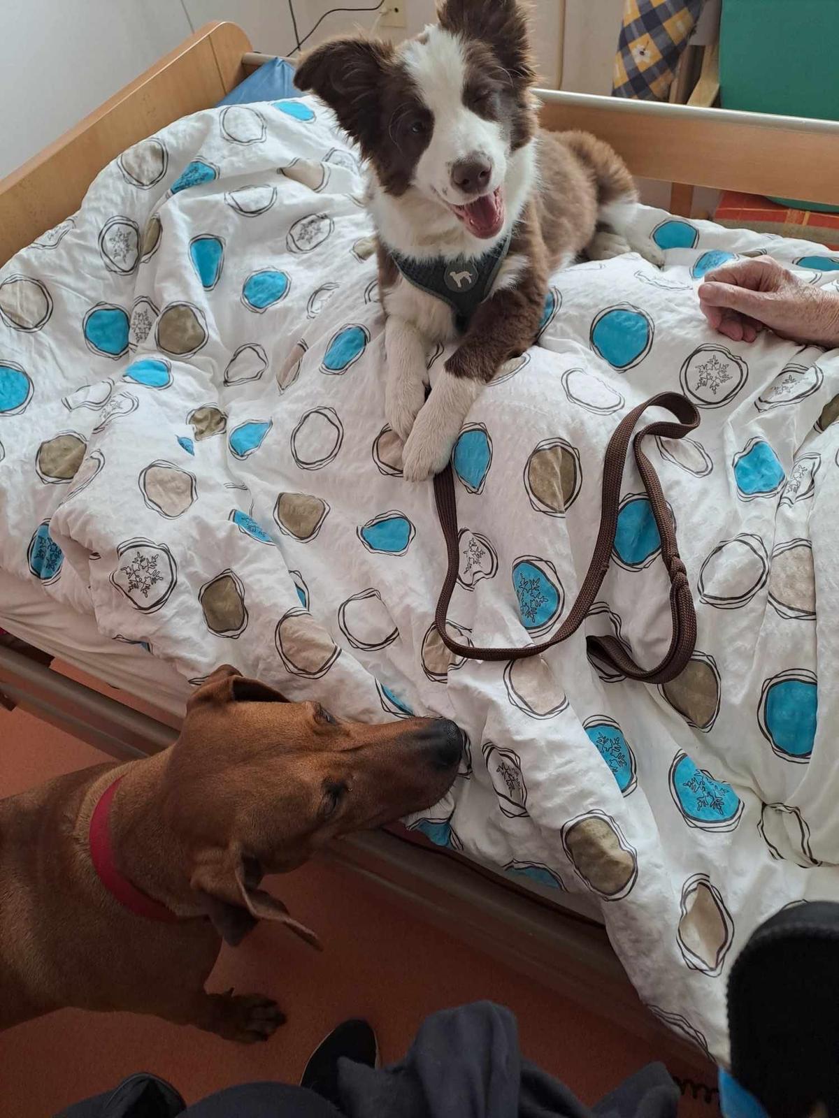 Foto 12