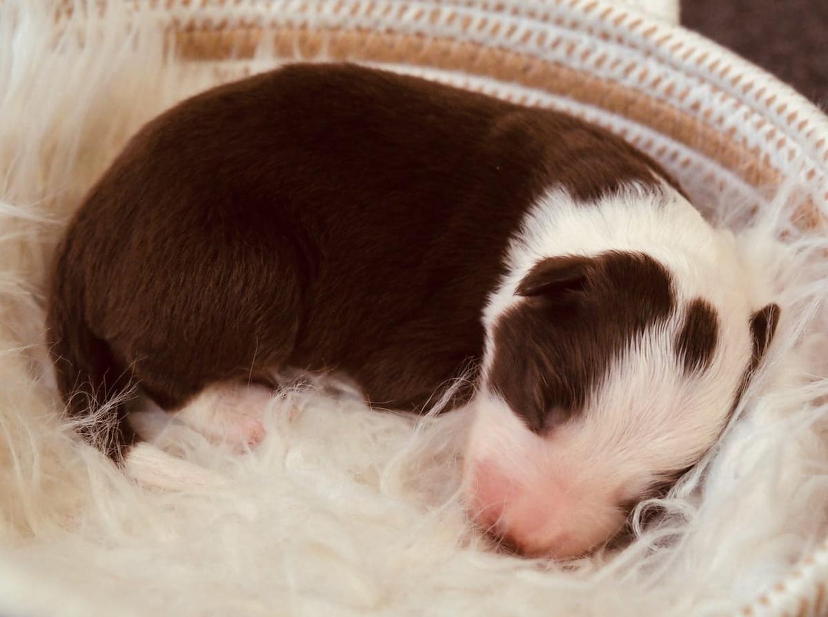 Foto 34