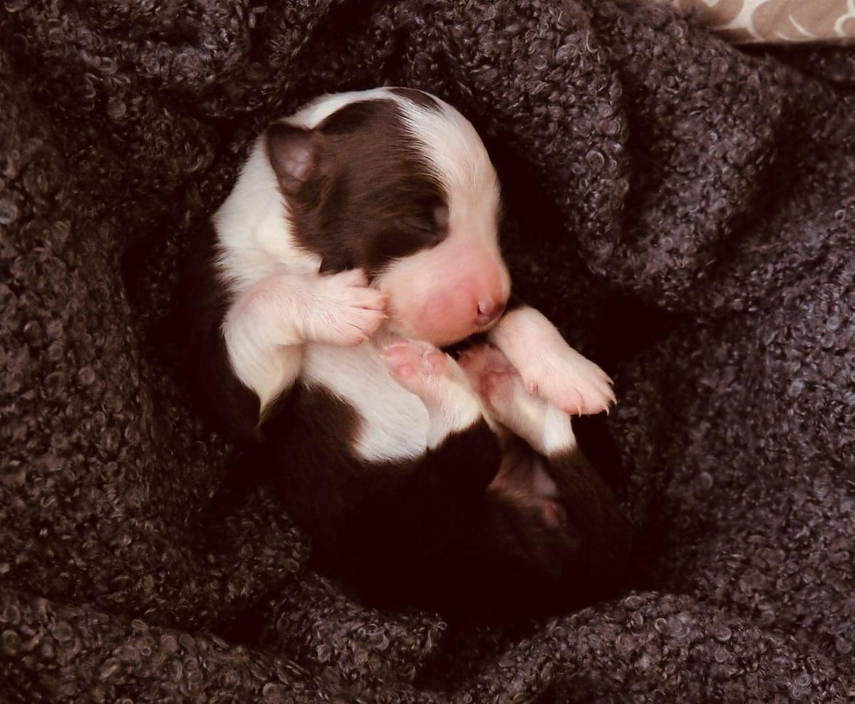 Foto 40