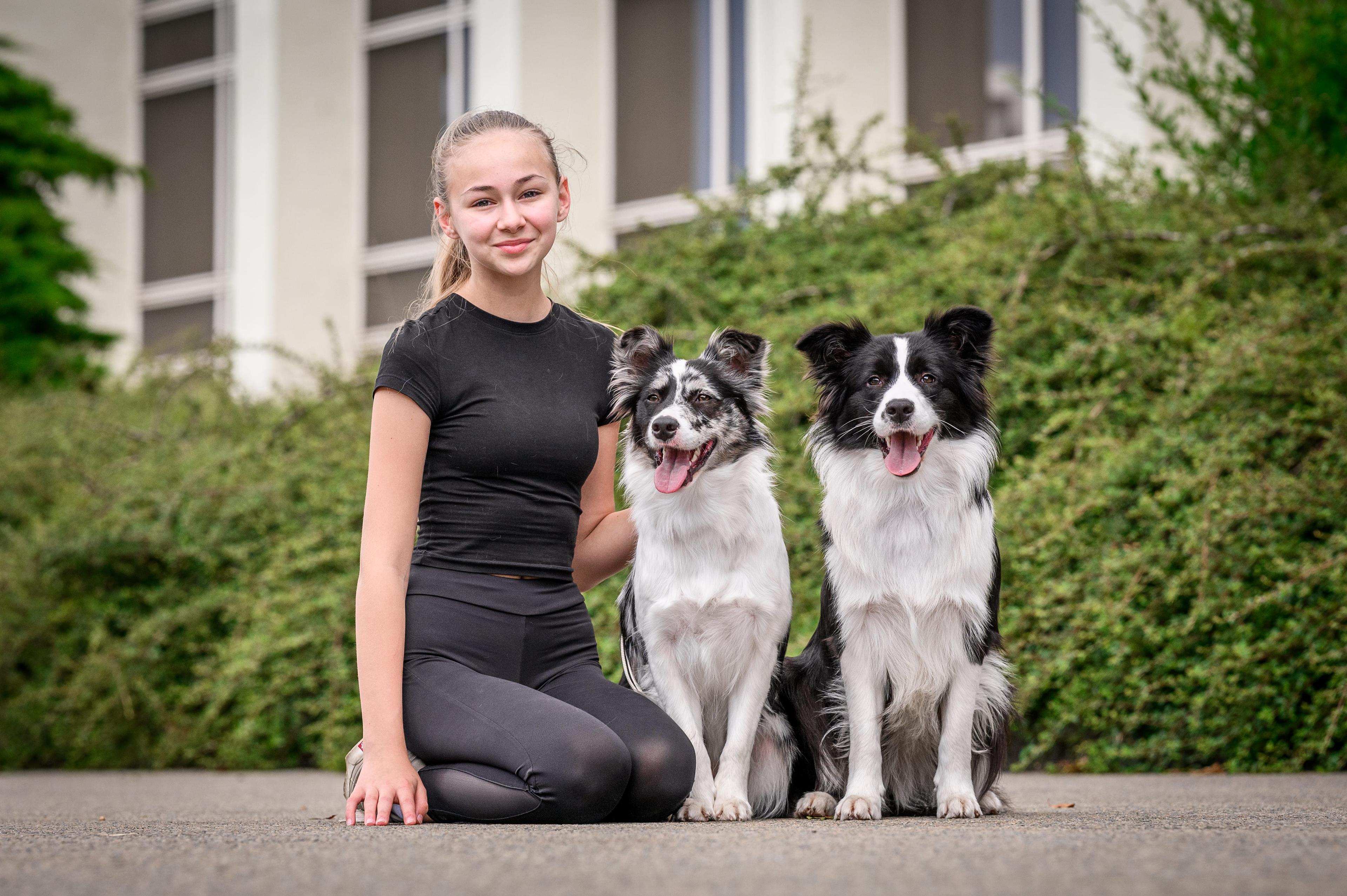 Instagram příspěvek 12 - HoneyRiver BC border collie