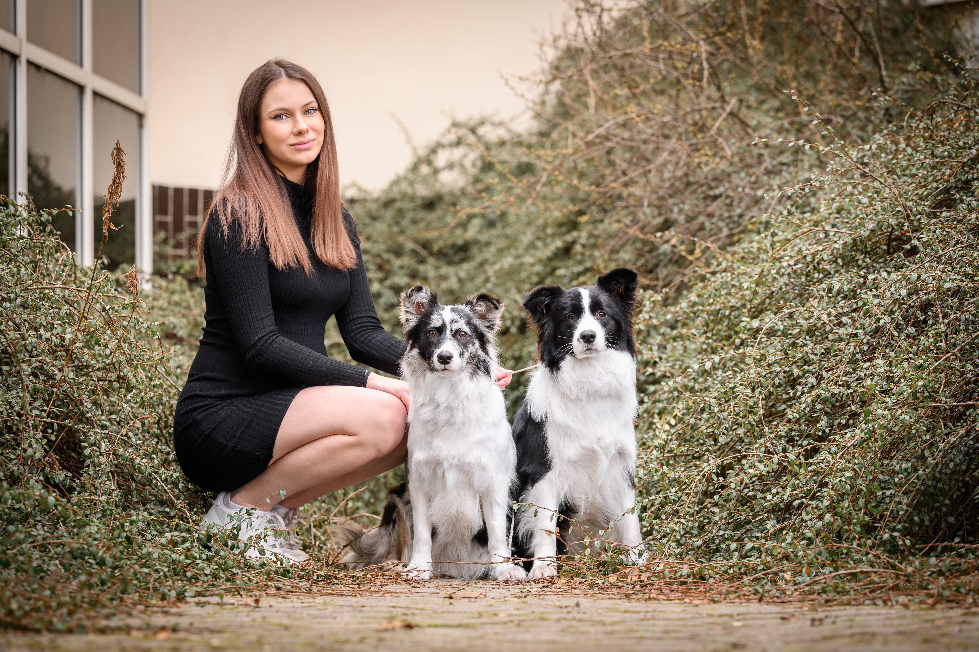 Instagram příspěvek 8 - HoneyRiver BC border collie
